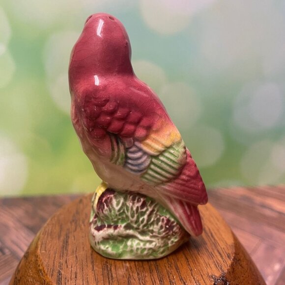 Beautiful Vintage 1950s Budgie Bird Salt & Pepper Shakers – Hand-Painted - Picture 6 of 15